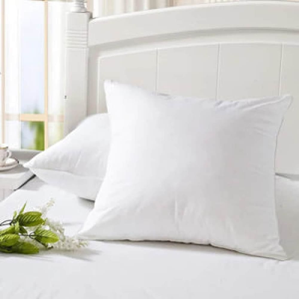 Vacuum Packed 2 Cushions Pillows