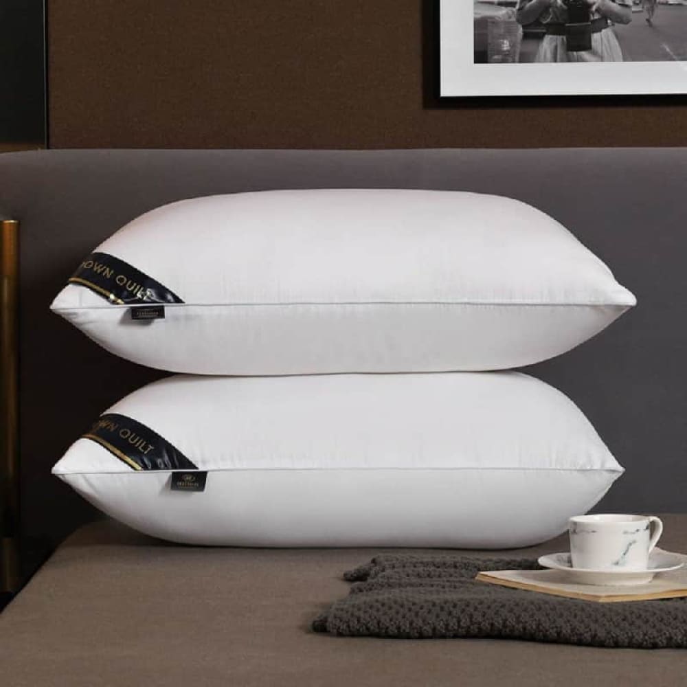 Vacuum Packed 2 Pillows 001