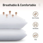 Vacuum Packed 2 Pillows Vp - 005